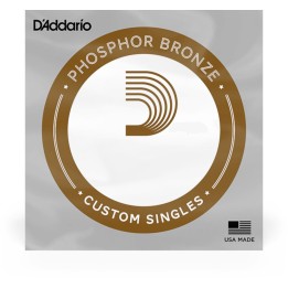 D'Addario - PBB100 Corda Singola per Basso Acustico, Phosphor Bronze, Long Scale, .100