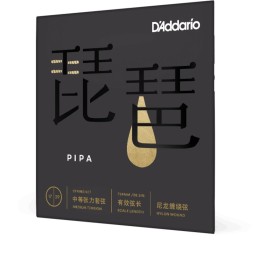 D'Addario - PIPA01 Set Corde per Pipa cinese, Nylon Wound, Medium Tension, 17-39