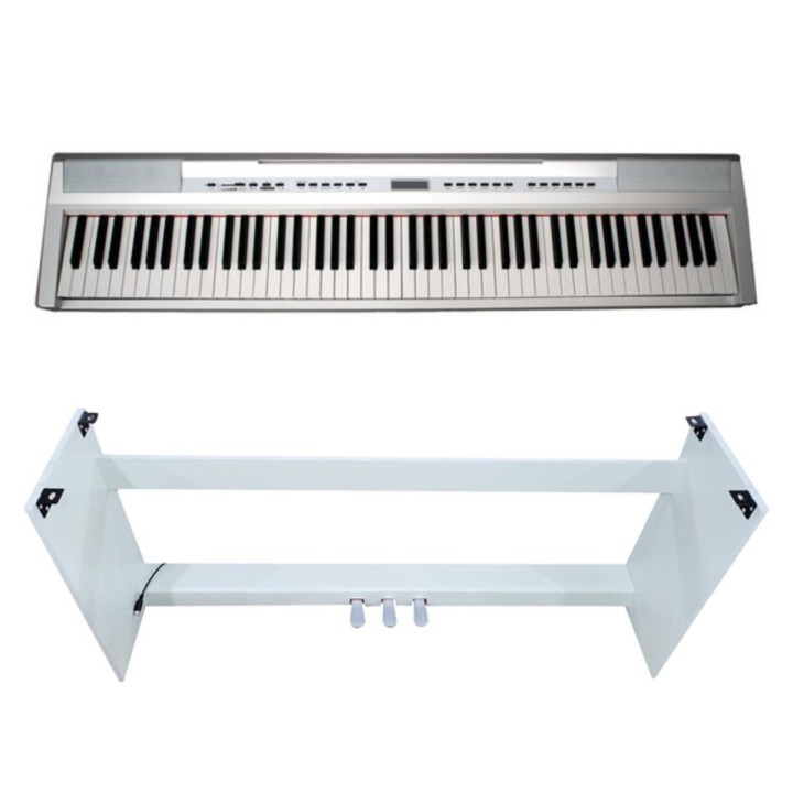 Echord SP-10 WH Bundle