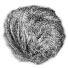 Zoom - Wsu-1