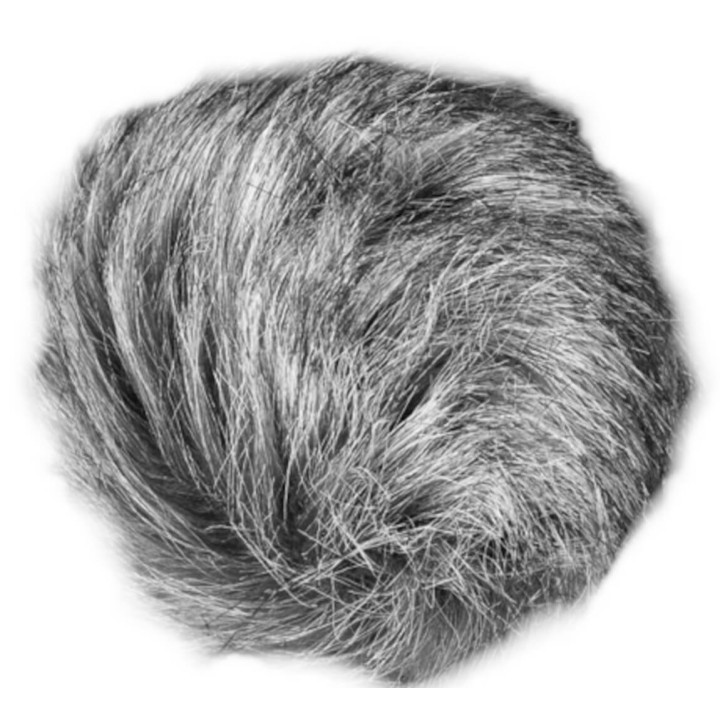 Zoom - Wsu-1