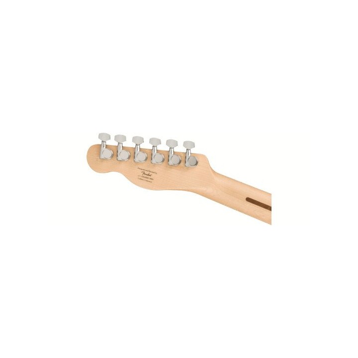 Acquista SQUIER Affinity Series Telecaster, Maple Fingerboard, Black Pickguard, Butterscotch  online | Merula Strumenti Musicali