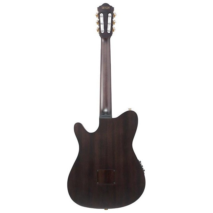Ibanez FRH20FMN-DGL: Chitarra Classica Elettrificata Ibrida Moderna