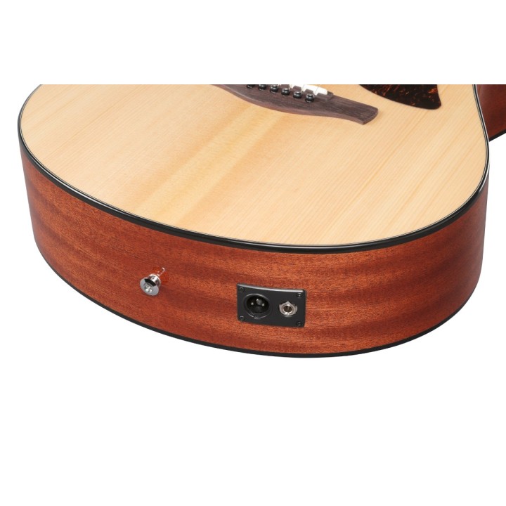 Ibanez AAM100E NT: Recensione Completa e Caratteristiche Tecniche
