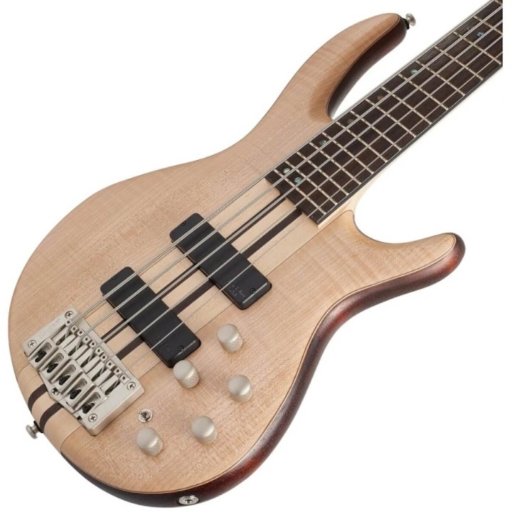 Acquista CORT Artisan A5 Plus FMMH OPN online | Merula Strumenti Musicali