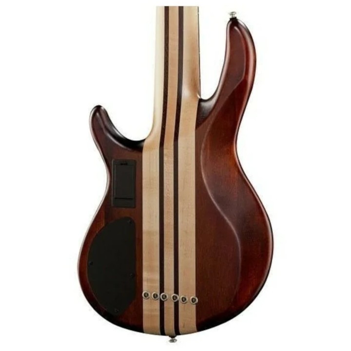 Acquista CORT Artisan A6 PLUS FMMH OPN online | Merula Strumenti Musicali