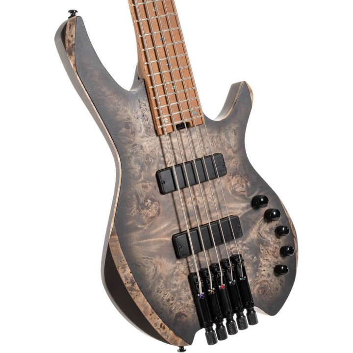 CORT - ARTISAN SPACE 5 SDB W/BAG | Merula Strumenti Musicali