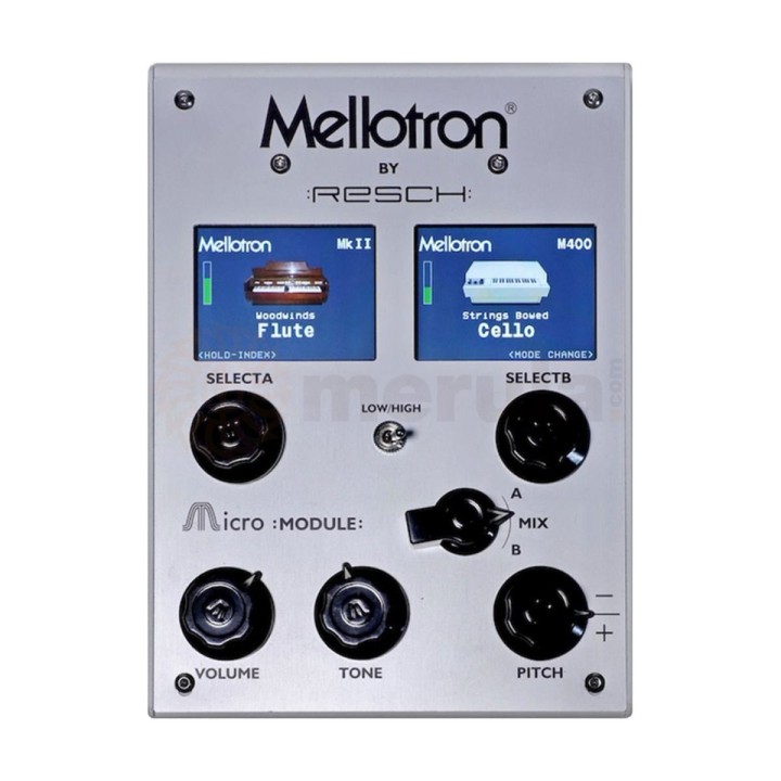 Mellotron - Micro Module