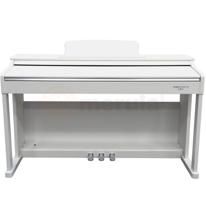 Echord DPX-100 Satin White