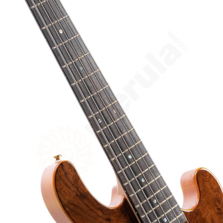 Cort | JB Rithimic V -  Basso Elettrico Solid-Body 5 Corde