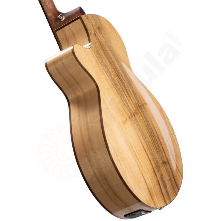 Cort - SFX Myrtlewood Nat Chitarra Acustica Amplificata