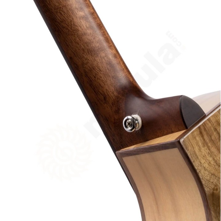Cort - SFX Myrtlewood Nat Chitarra Acustica Amplificata