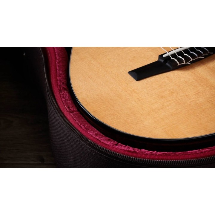 Taylor - 212ce-N Plus