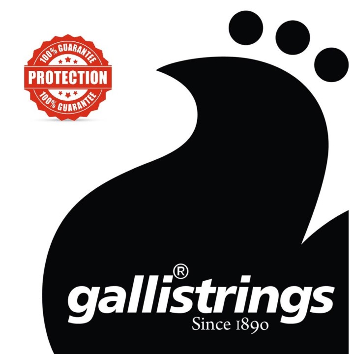 Acquista Galli Strings Csn30125 online | Merula Strumenti Musicali