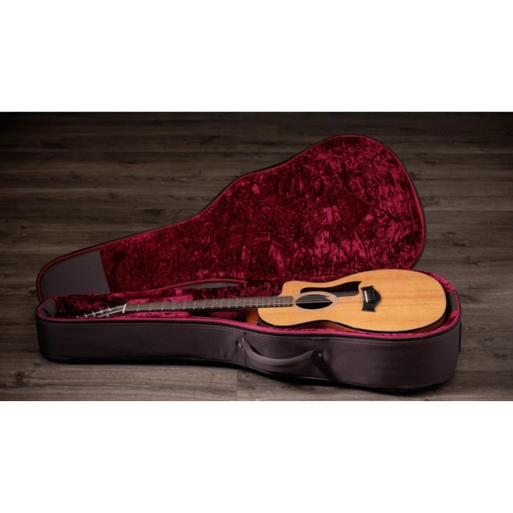 Taylor - 254ce Plus
