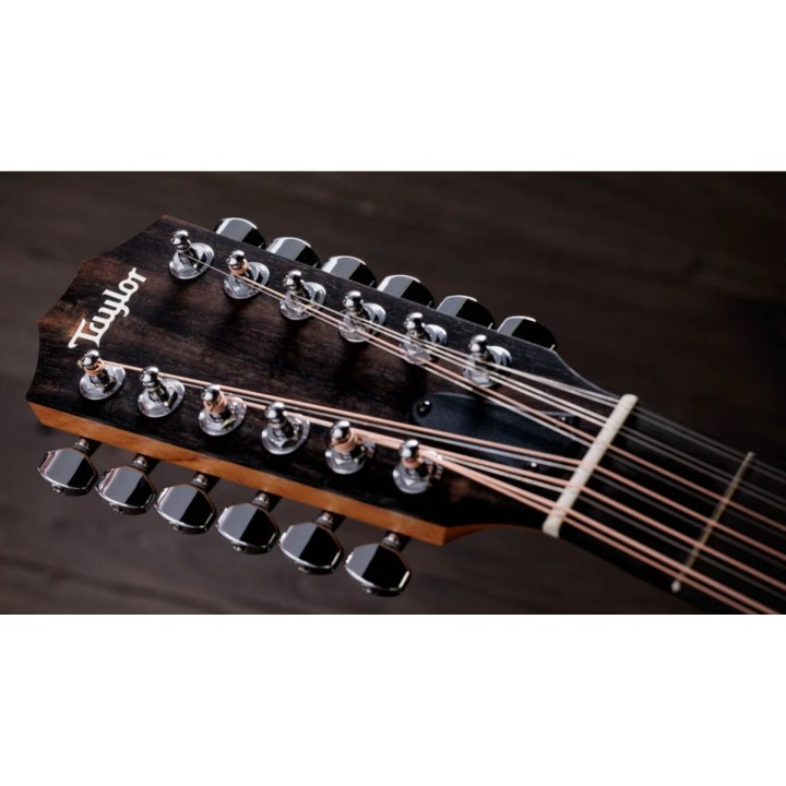 Taylor - 254ce Plus