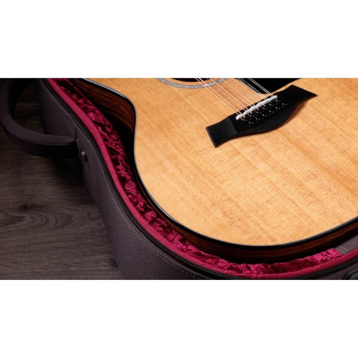 Taylor - 254ce Plus