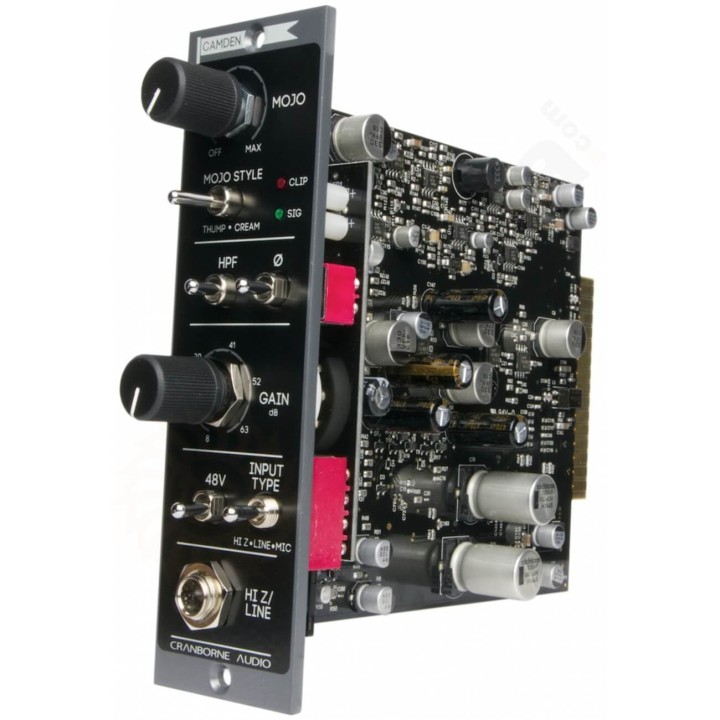 Acquista CRANBORNE AUDIO Camden 500 online | Merula Strumenti Musicali