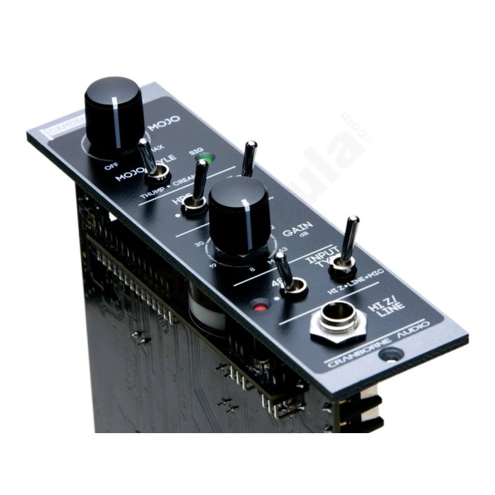 Acquista CRANBORNE AUDIO Camden 500 online | Merula Strumenti Musicali