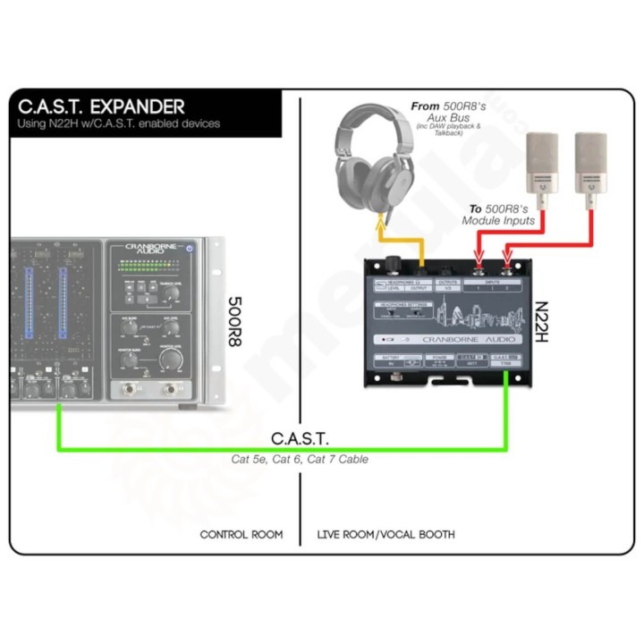 Acquista CRANBORNE AUDIO N22 online | Merula Strumenti Musicali