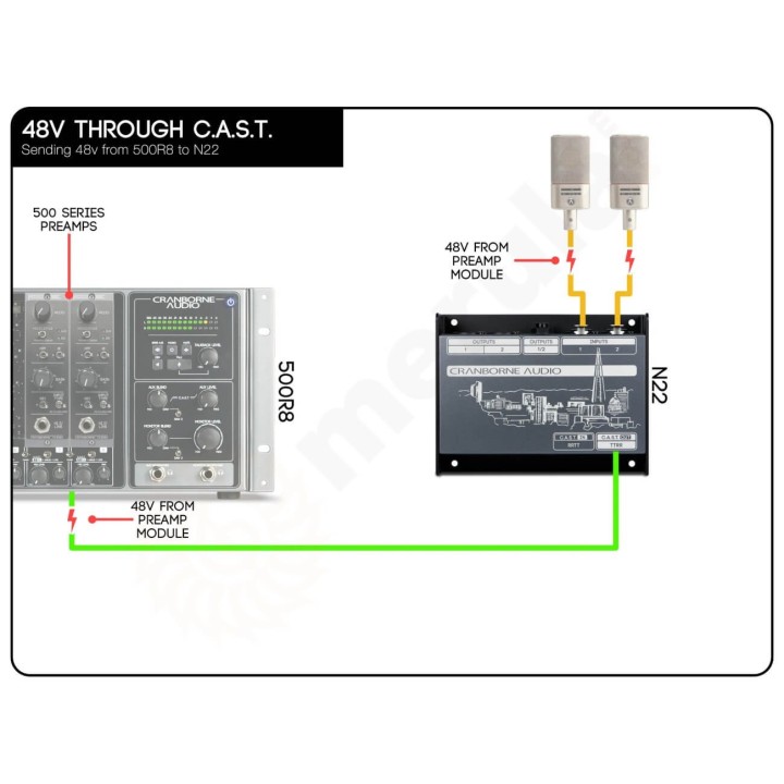 Acquista CRANBORNE AUDIO N22 online | Merula Strumenti Musicali