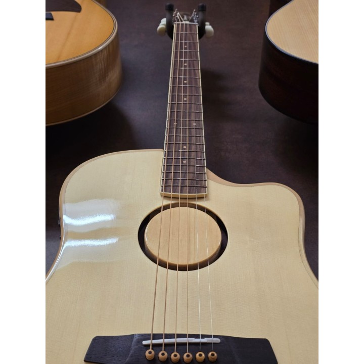Acquista L. R. Baggs Aeg-1 Nat online | Merula Strumenti Musicali