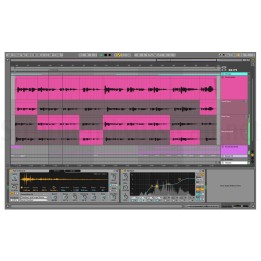 Ableton - Live Intro 11 Software Produzione Musicale