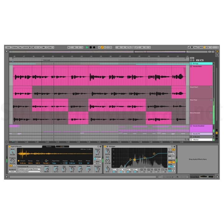 Ableton - Live Intro 11 Software Produzione Musicale