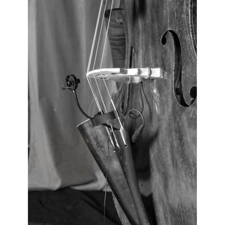Prodipe BL21 - Microfono cablato per contrabbasso