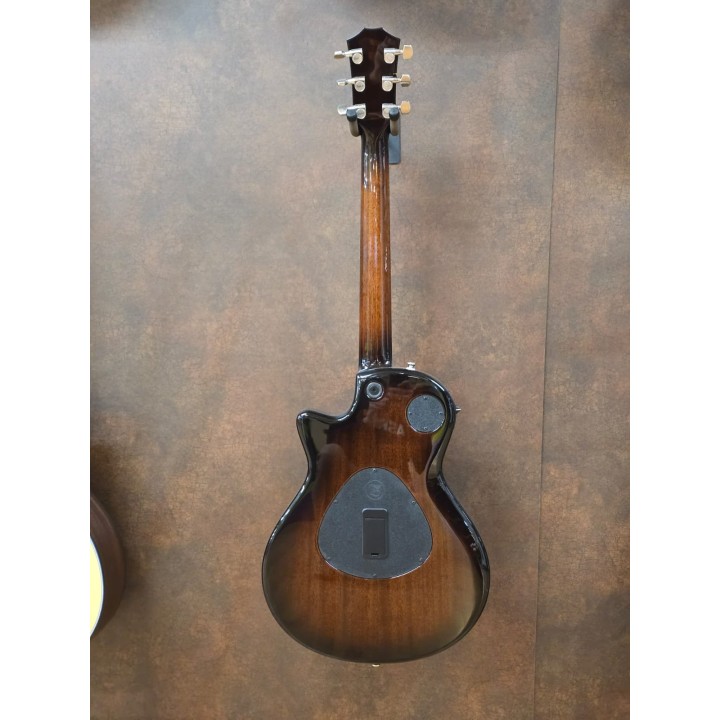 Acquista TAYLOR T5Z CLASSIC DLX online | Merula Strumenti Musicali