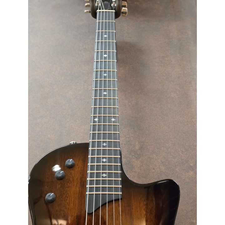 Acquista TAYLOR T5Z CLASSIC DLX online | Merula Strumenti Musicali