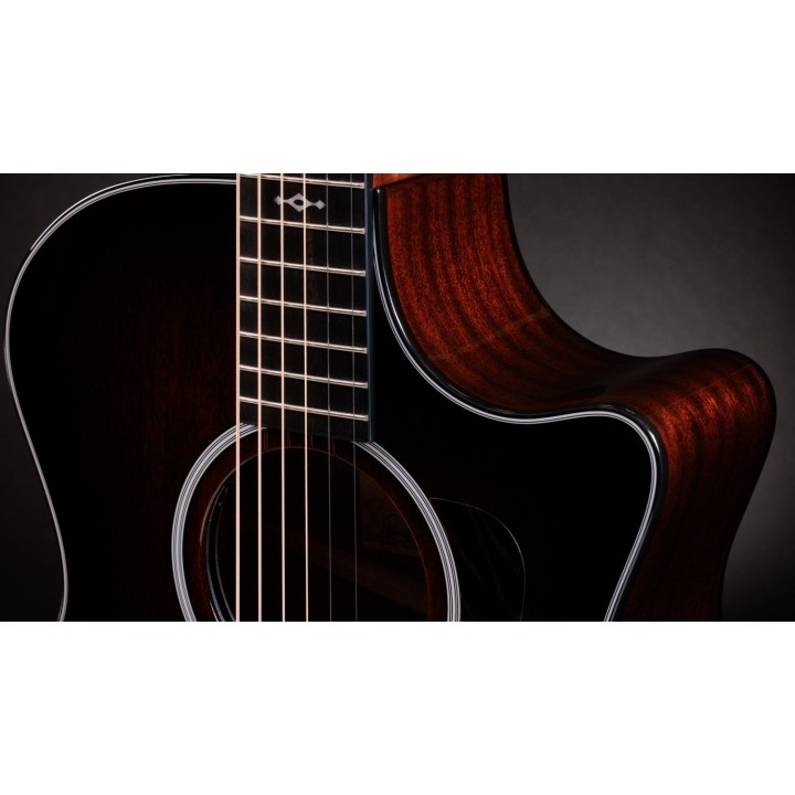 Taylor 324ce Next Generation