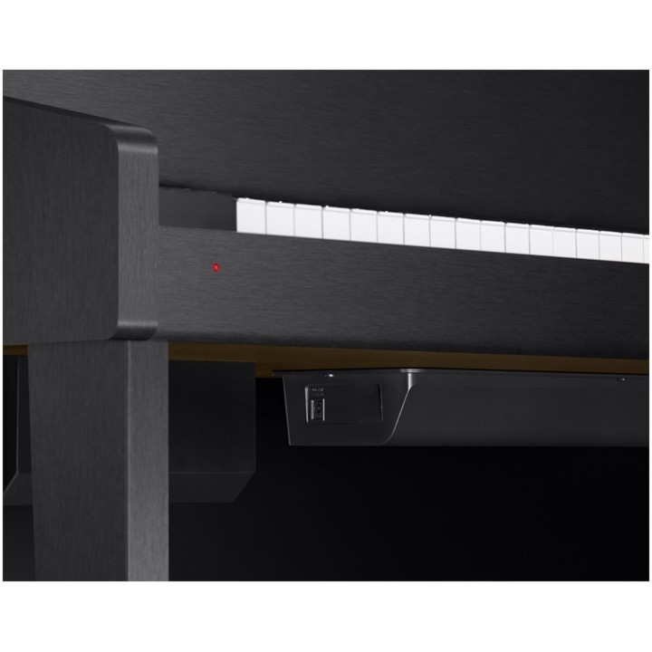 Casio - GP-310BK Pianoforte Ibrido