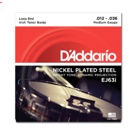 D'Addario - EJ63i Corde per Banjo Irish Tenor Banjo, Nickel