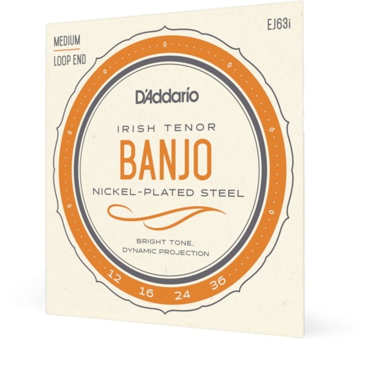 D'Addario - EJ63i Corde per Banjo Irish Tenor Banjo, Nickel