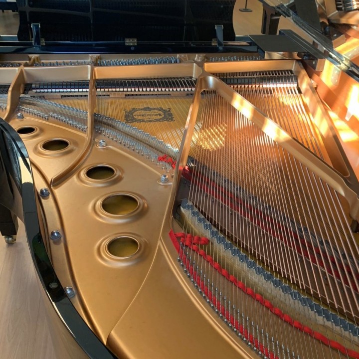 Yamaha C5 (1996) - Pianoforte a Coda