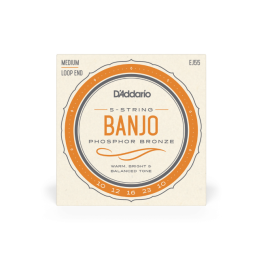 Acquista D'Addario Ej55 D'Addario Ej55 5-String Banjo Strings, Phosphor Bronze, Medium, 10-23 online | Merula Strumenti Musicali