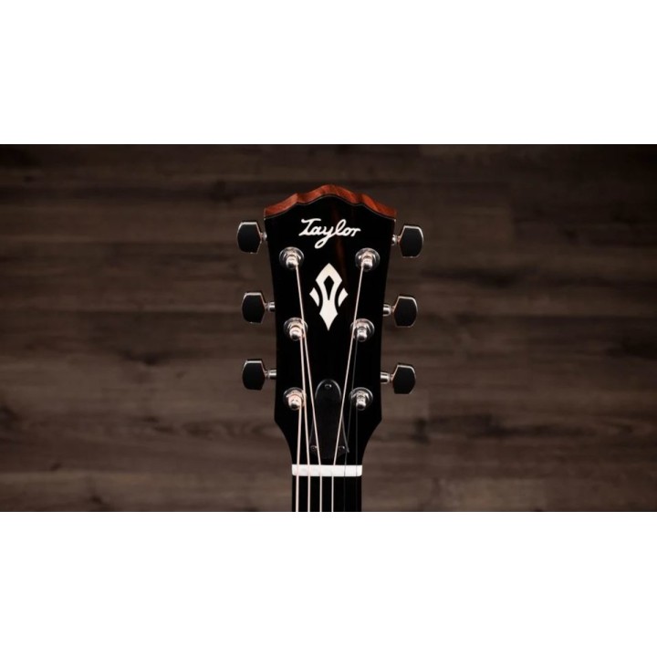 Taylor - Gold Label 514e Sunburst (Firestripe Pickguard)