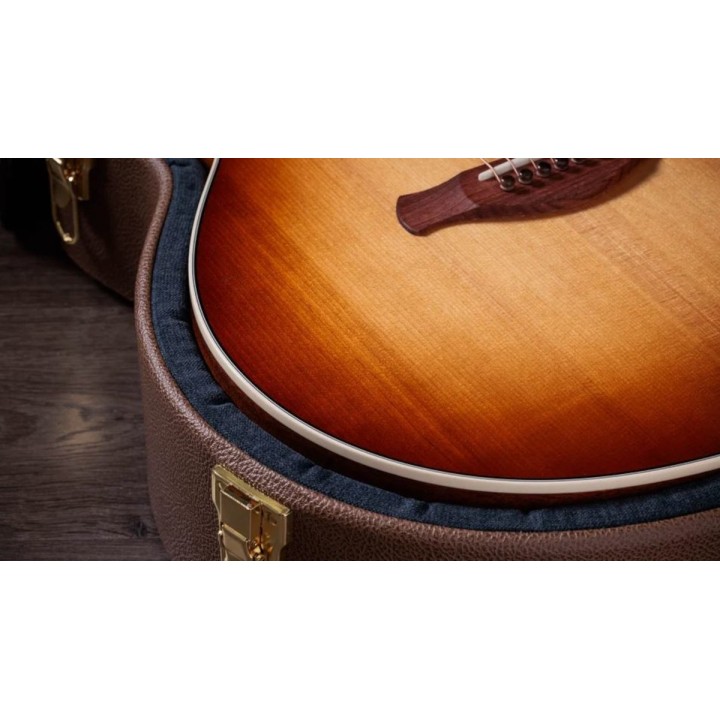 Taylor - Gold Label 514e Sunburst (Firestripe Pickguard)