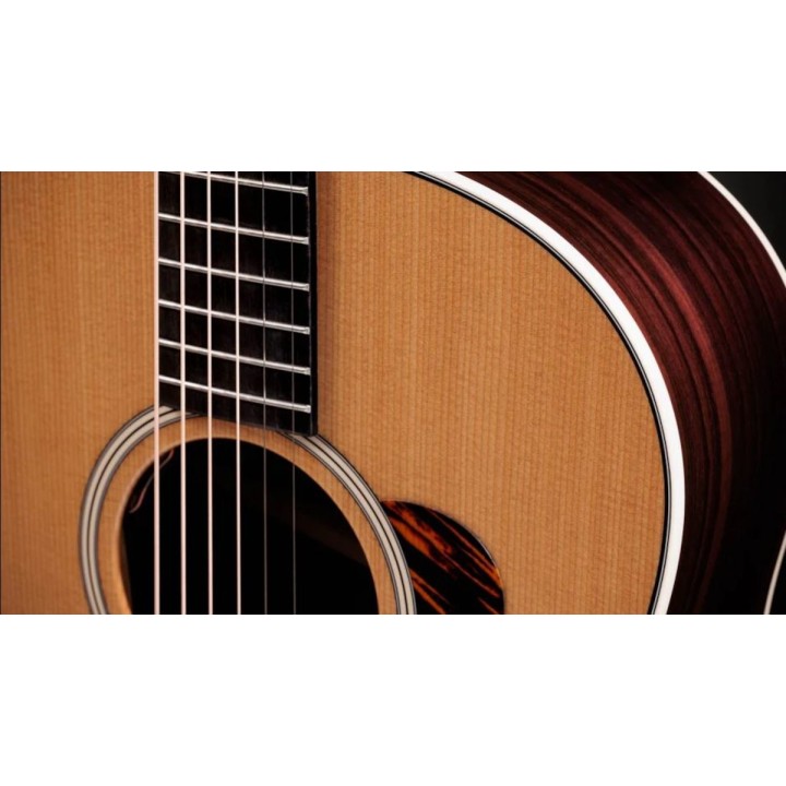 Taylor - Gold Label 717e Natural