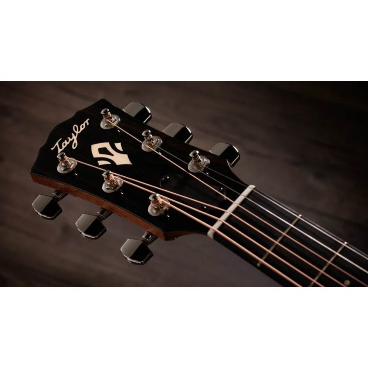 Taylor - Gold Label 717e Natural