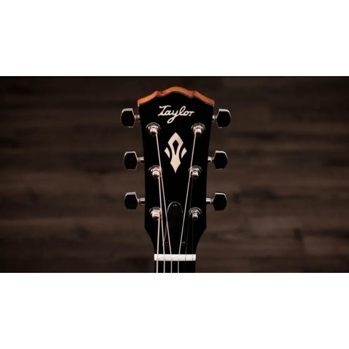 Taylor - Gold Label 717e Natural