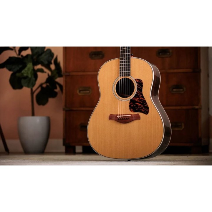 Taylor - Gold Label 717e Natural