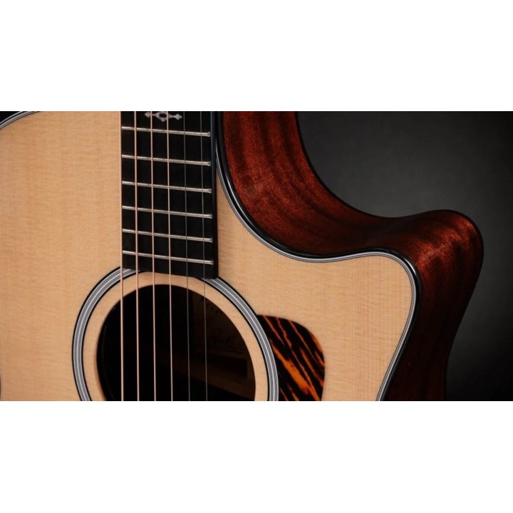 Taylor - 314ce, Next Generation Natural