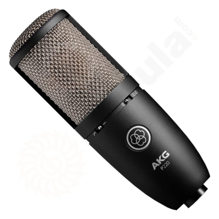 Akg - P220 Microfono a Condensatore a Largo Diaframma, Cardioide