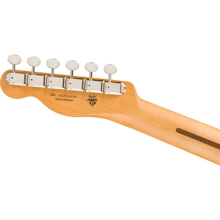 Fender 75th Anniversary Player II Telecaster RW DDS