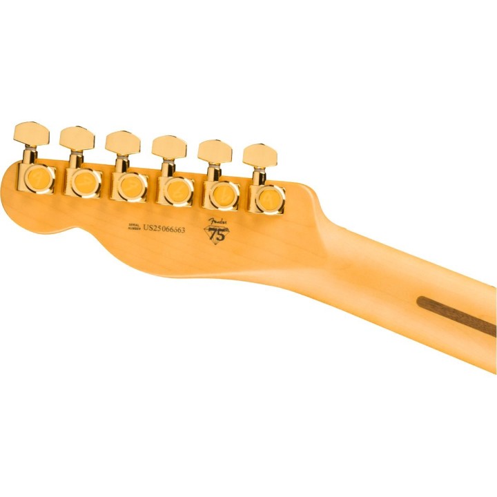 Fender 75th Anniversary American Professional Custom Telecaster MN 2TS