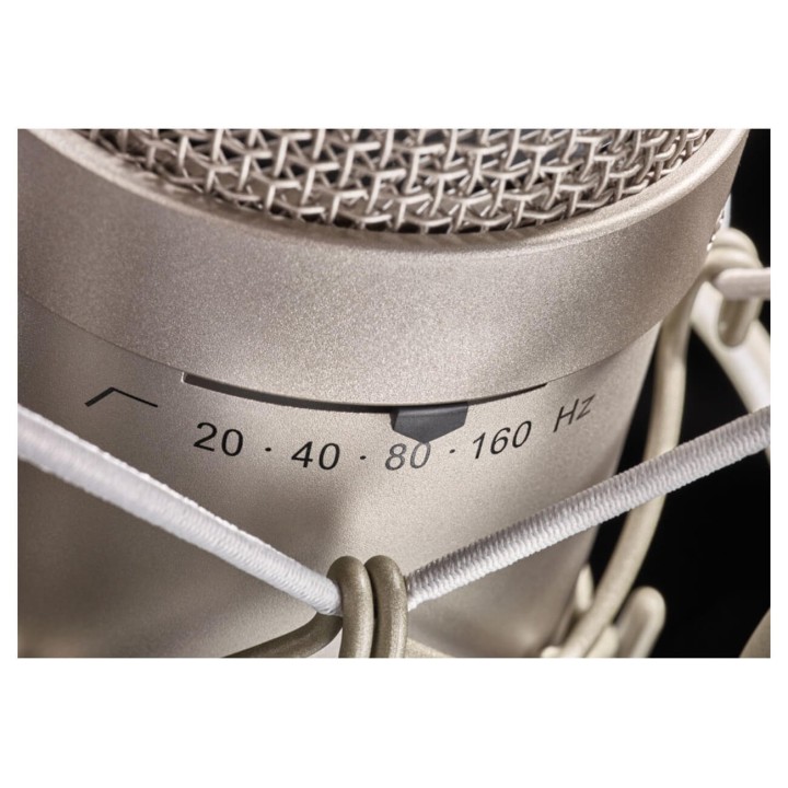 Neumann - M 149 Tube Microfono da Studio Valvolare