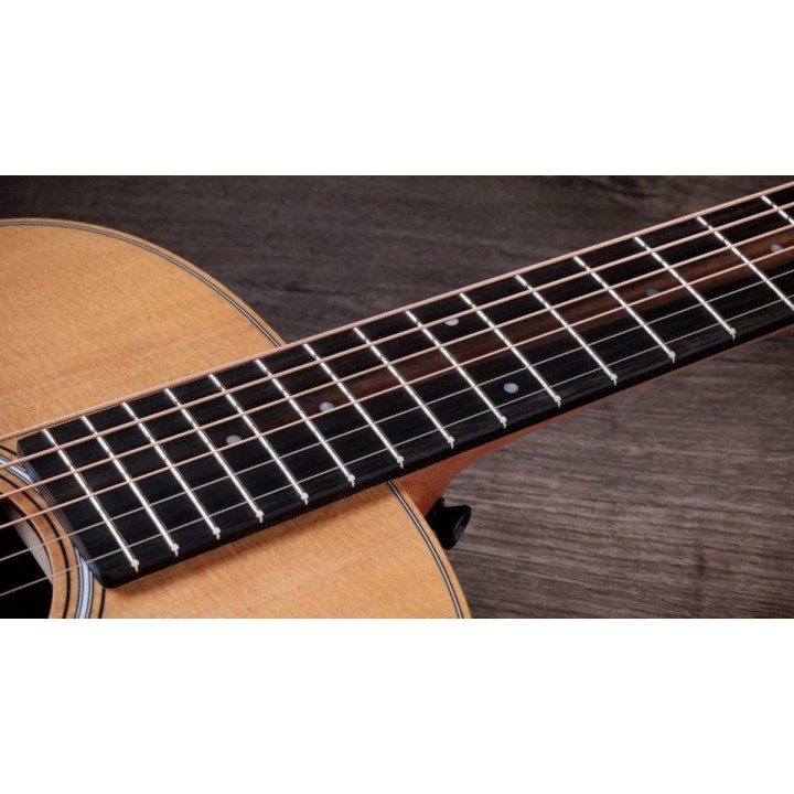Taylor - GS MINI-E LTD Figured Koa