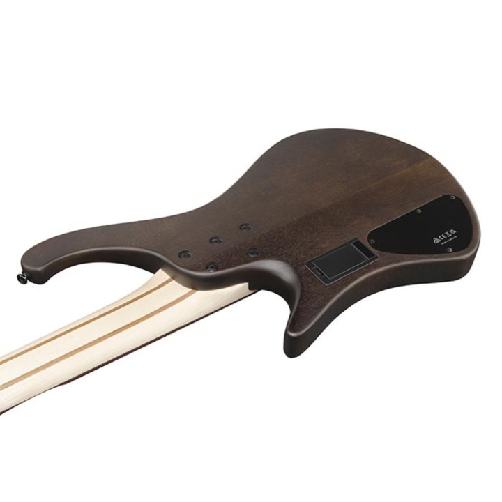Ibanez EHB605 WNF - Basso Elettrico 5 Corde